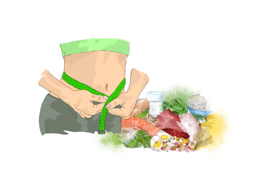 Muskelaufbau und Abnehmen