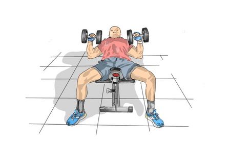 Bankdrücken - Flachbank Kurzhantel