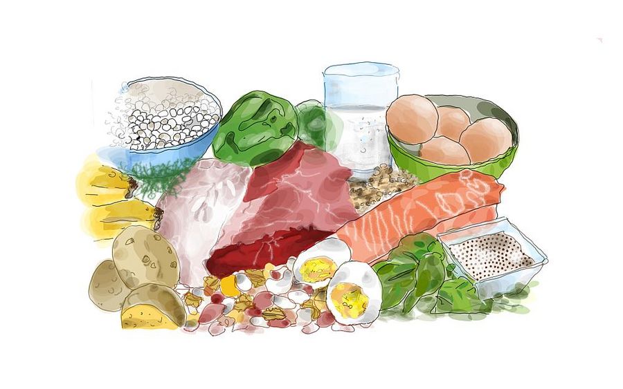 Muskelaufbau und Ernährung Muskelaufbau und Ernährung