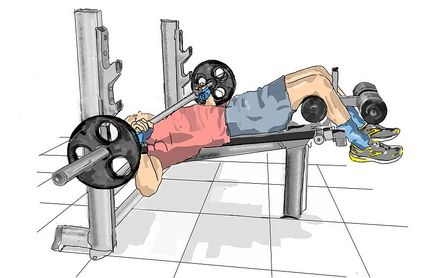 Bankdrücken - Schrägbank (negativ), Langhantel