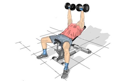 Bankdrücken - Schrägbank Kurzhantel