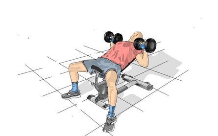 Bankdrücken - Schrägbank Kurzhantel