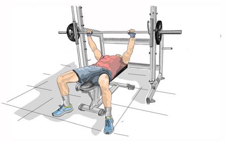 Multipresse Bankdrücken Flachbank