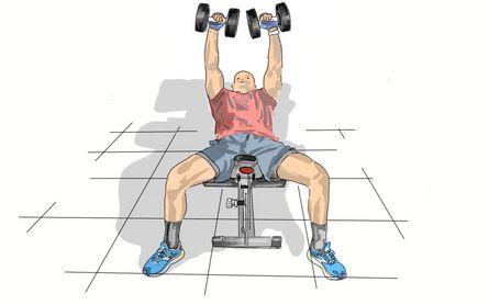 Bankdrücken - Flachbank Kurzhantel